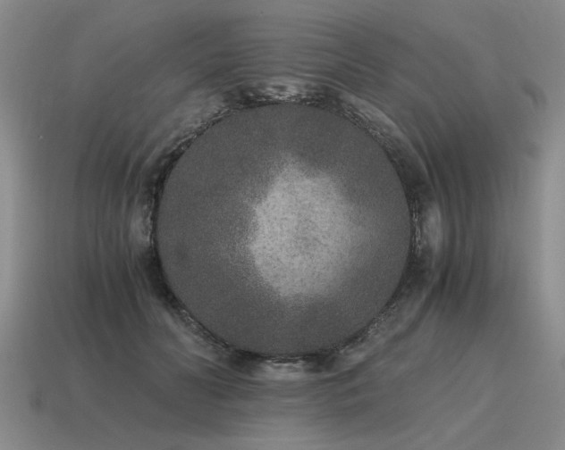 X0000115600606200911101407