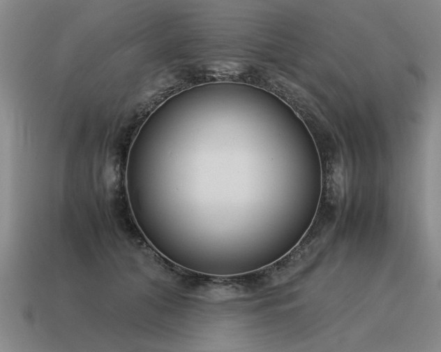 X0000115600608200911101407