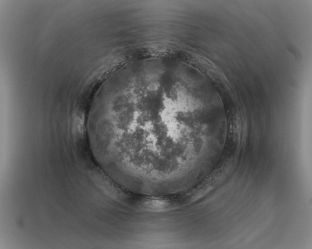 X0000115600610200911101407