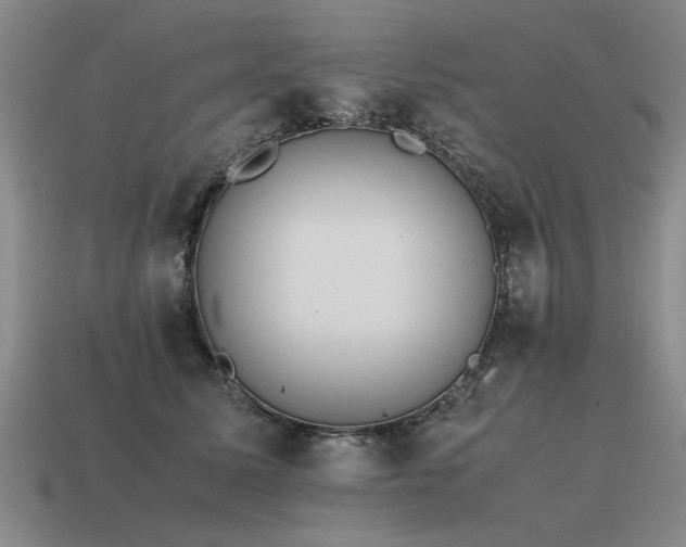 X0000115600611200911101407