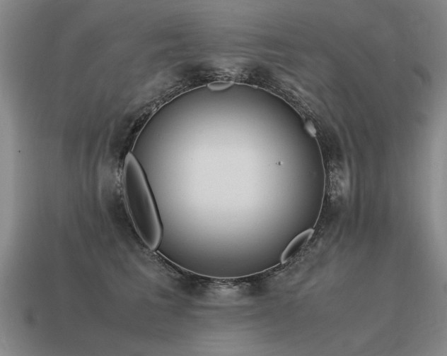 X0000115600613200911101407