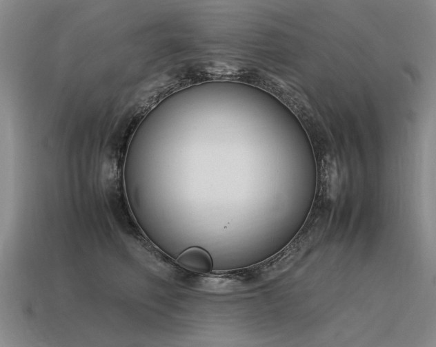 X0000115600614200911101407