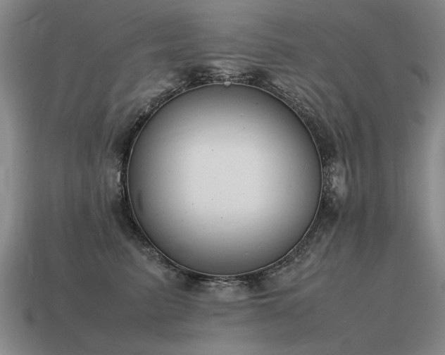 X0000115600615200911101407