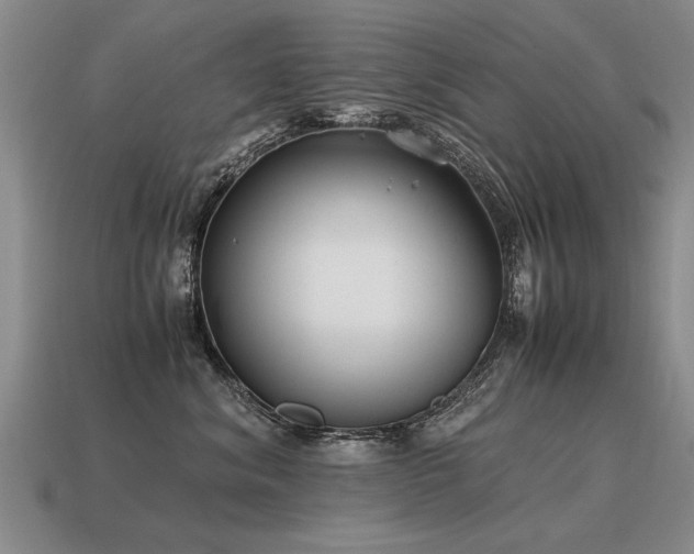 X0000115600620200911101407