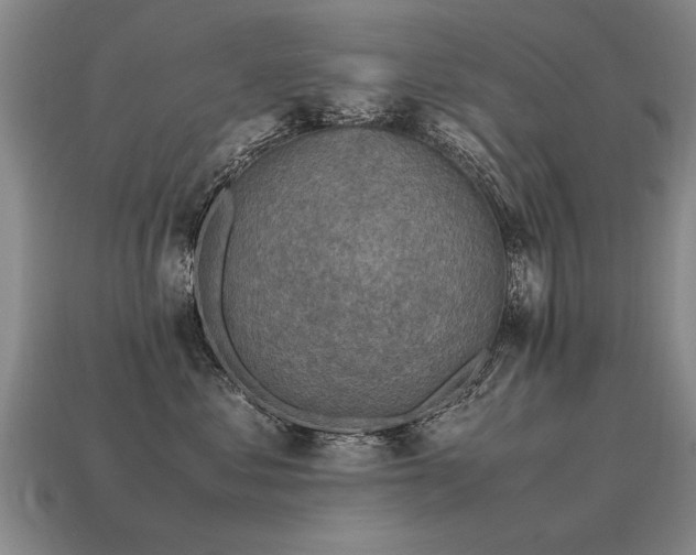 X0000115600621200911101407