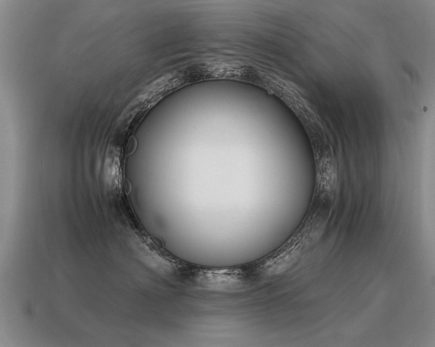 X0000115600622200911101407