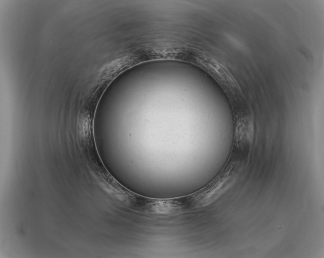 X0000115600623200911101407