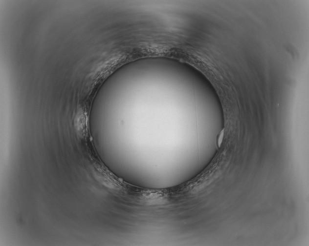 X0000115600624200911101407