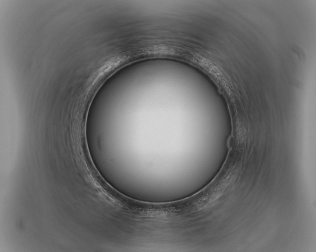 X0000115600625200911101406