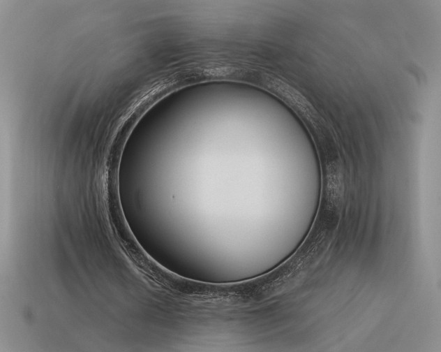 X0000115600626200911101406