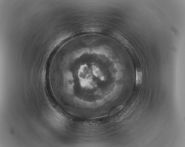 X0000115600627200911101406