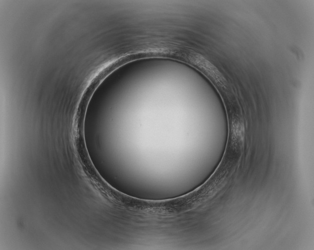 X0000115600628200911101406