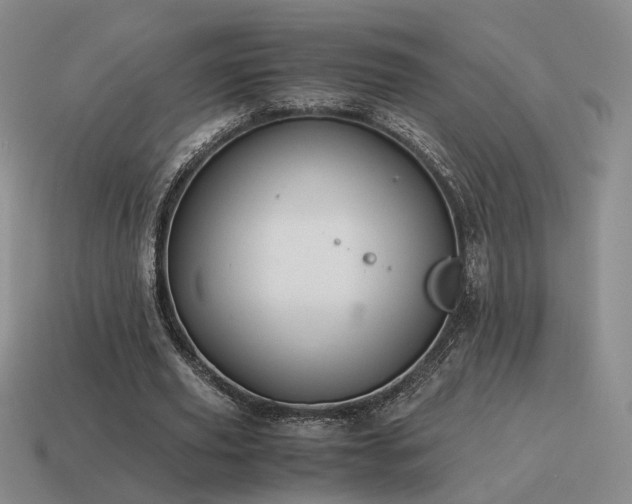 X0000115600629200911101406