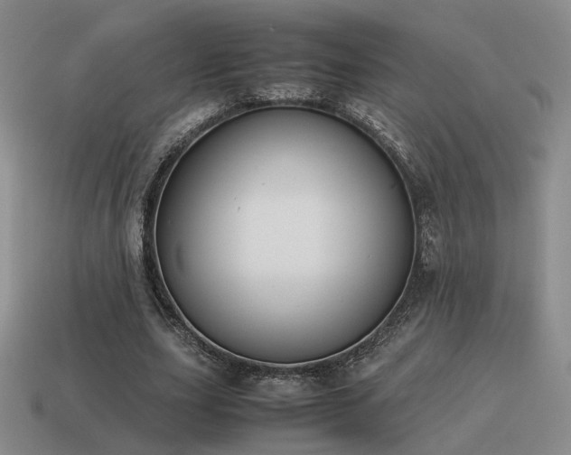 X0000115600631200911101406