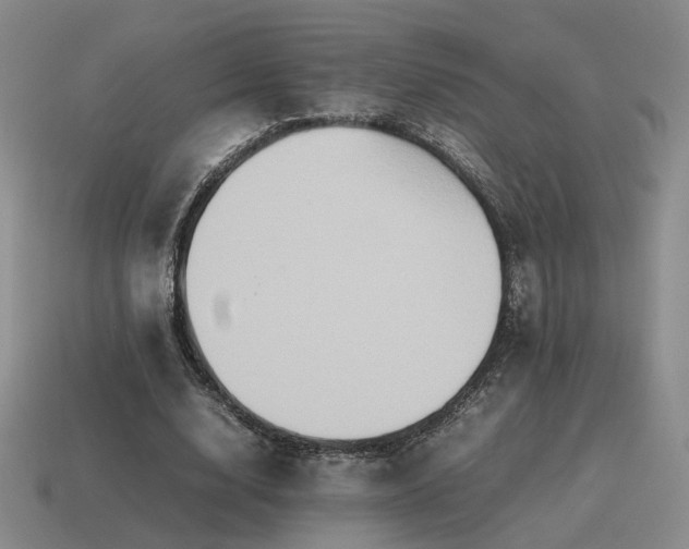 X0000115600632200911101406