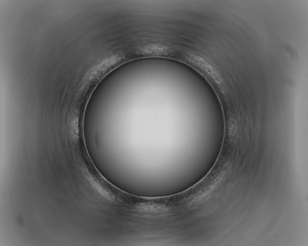 X0000115600633200911101406