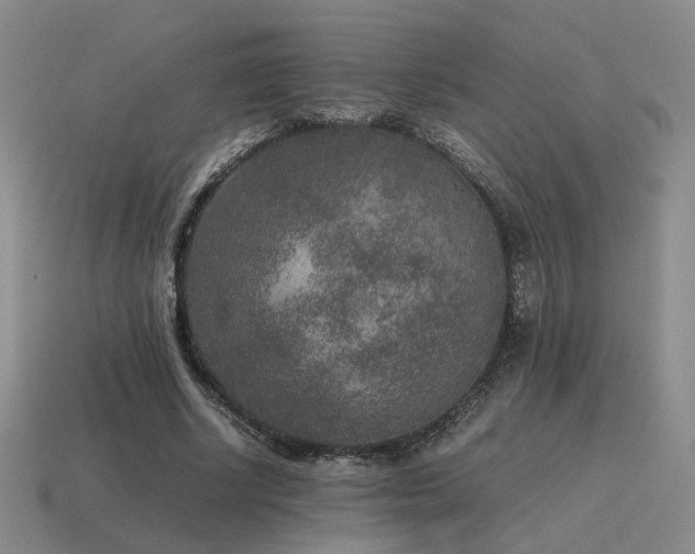 X0000115600634200911101406