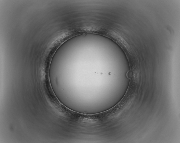 X0000115600635200911101406