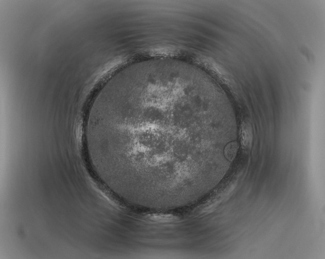 X0000115600637200911101406