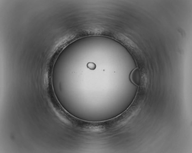 X0000115600638200911101406