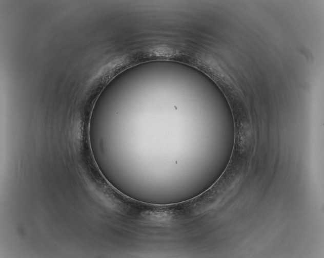 X0000115600639200911101406