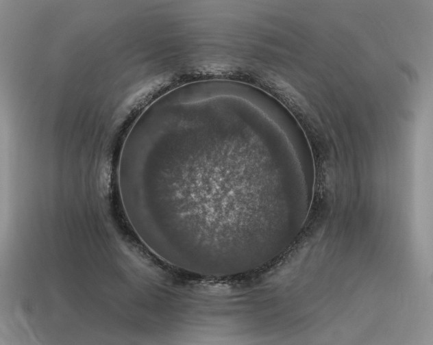 X0000115600640200911101406