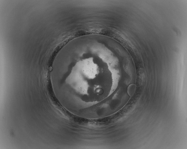 X0000115600641200911101406