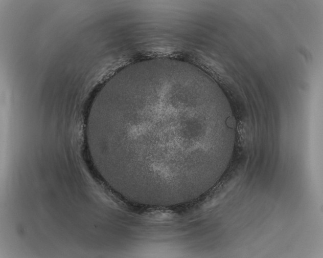 X0000115600642200911101406