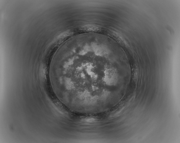 X0000115600643200911101407