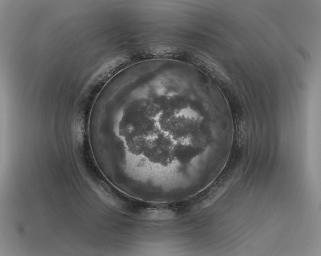 X0000115600644200911101407