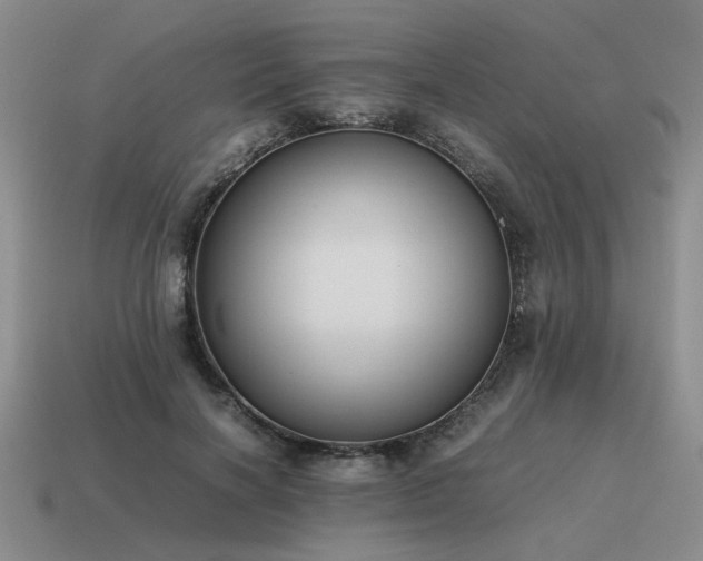 X0000115600646200911101407