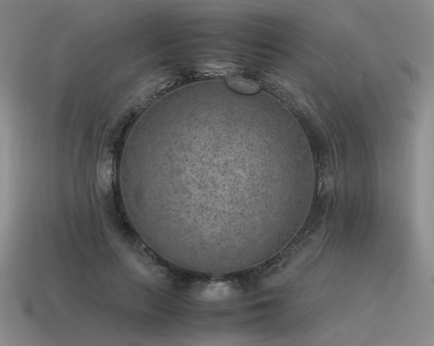 X0000115600647200911101407