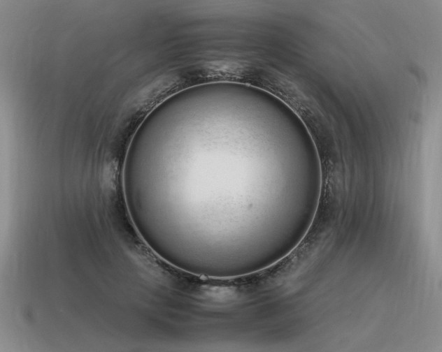 X0000115600649200911101407