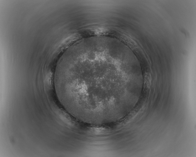 X0000115600650200911101407