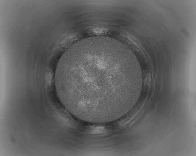 X0000115600651200911101407