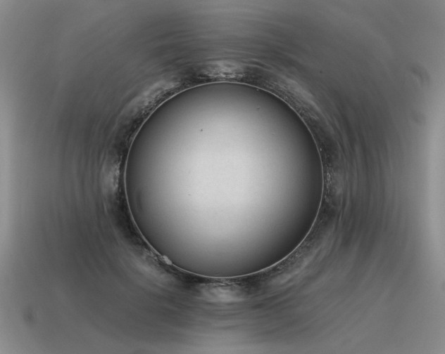 X0000115600652200911101407