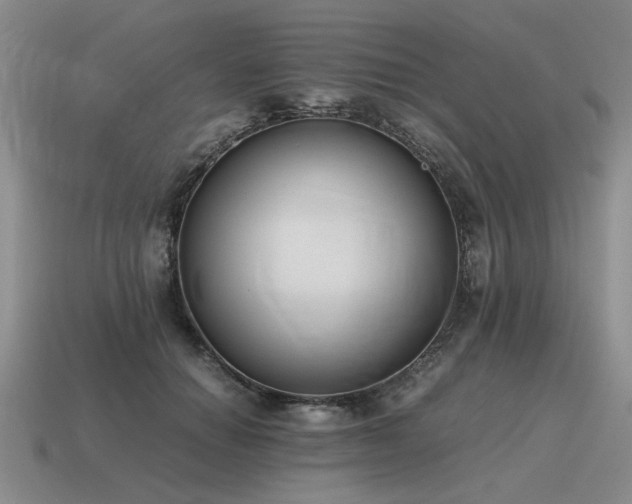 X0000115600654200911101407