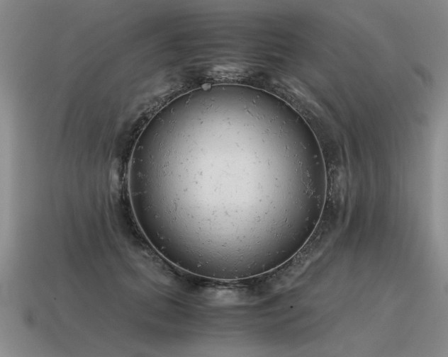 X0000115600655200911101407