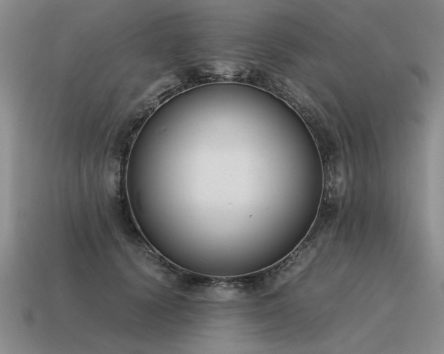 X0000115600656200911101407