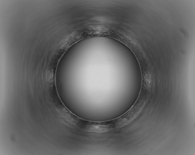 X0000115600657200911101407