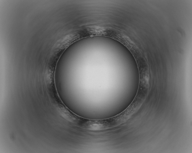 X0000115600658200911101407