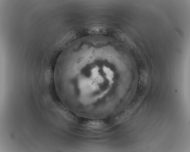 X0000115600659200911101407