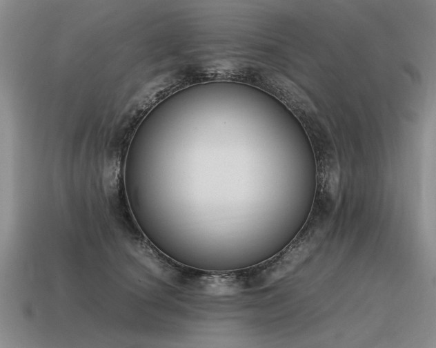 X0000115600660200911101407