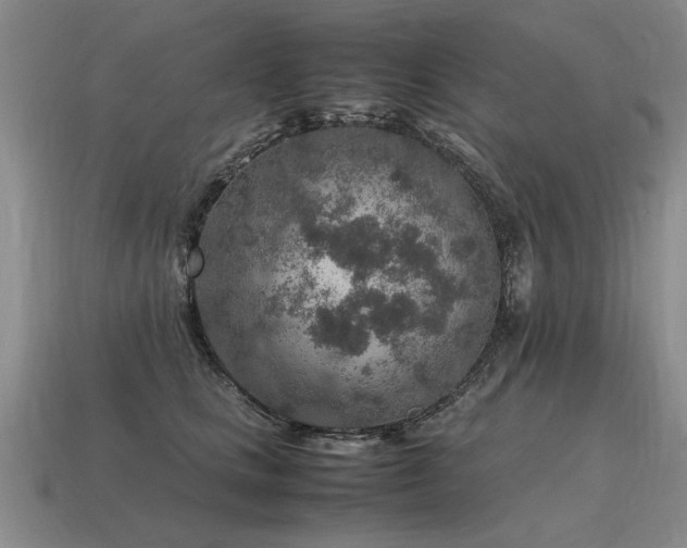 X0000115600661200911101407