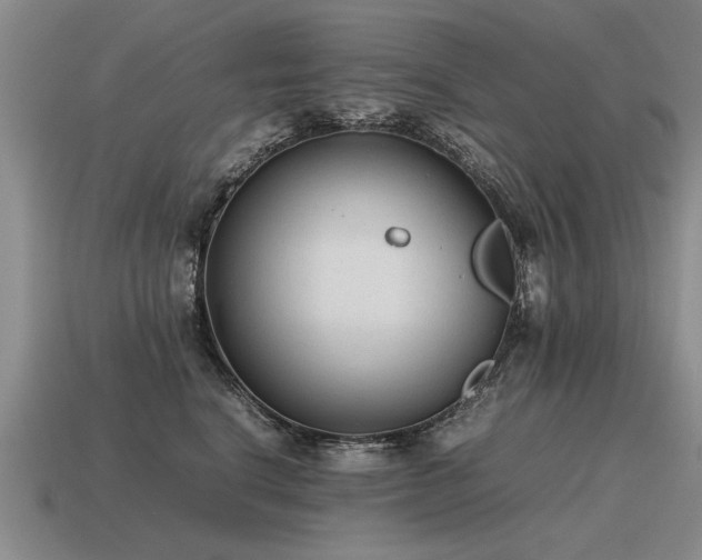 X0000115600664200911101407