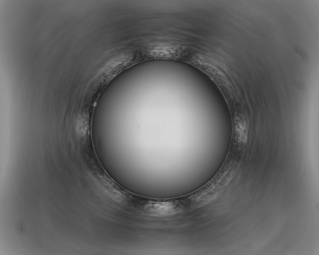 X0000115600665200911101407