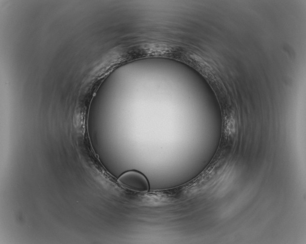 X0000115600666200911101407