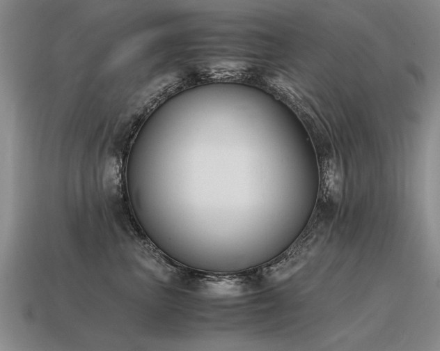 X0000115600667200911101407