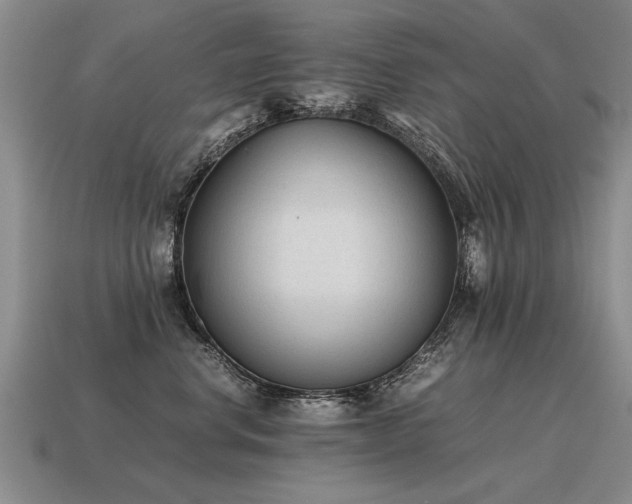 X0000115600668200911101407