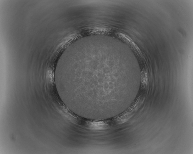 X0000115600669200911101407